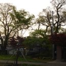 해남읍 단군전 이미지