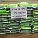 옥암동주민센터 이미지