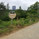 동백골한옥 이미지