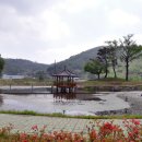 도담골 호반마을 이미지