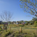 바라겔 | [서산/애견카페] 바라겔 내돈내산 방문후기