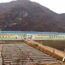 새 하나농장 이미지