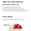 화이트미디어 이미지