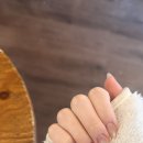 네일데이주드