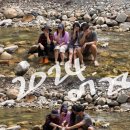 계곡과소나무 캠핑장 이미지