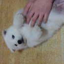 사료할인매장 이미지