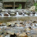 삼봉주유소 이미지