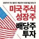 <미국주식 성장주 배당주 투자>부자소시민,후지루베,환상감자,단팥빵