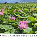 낙동강관리본부 화명생태공원 5 네이버블로그