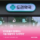 도리약국 이미지