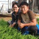 대촌농협 이미지