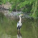 해뜨는호수 이미지