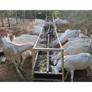 배식농장 이미지