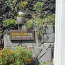 신중로13번길 | 제주 액티비티 서귀포 씨플로우 프리다이빙 체험 후기