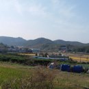 두량6리 Daum카페
