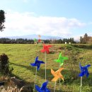 아침초원 목장 이미지