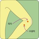 경희솔한의원 이미지