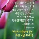 샬롬 Daum카페