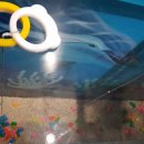 신세계성인오락실 이미지