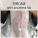 현동물병원 이미지