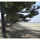 소나무비치민박 이미지