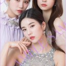 박스포토원