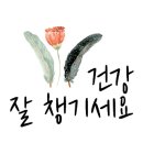 대전유아사 이미지