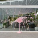 비고리조트 10 이미지