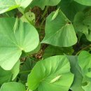 말밭농장 이미지