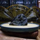 솔향이 진한 이미지