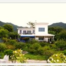 컴투펫 위탁보호센터 이미지