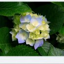 별이랑달이랑 이미지