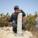 한림발전소[동] Daum카페