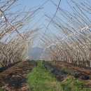 농부의 정원 이미지