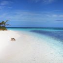 파라다이스 이미지