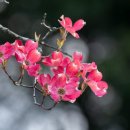 유한회사 고려 이미지