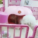 폴리파크 반송점 이미지