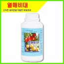 새마을로1L-1 이미지