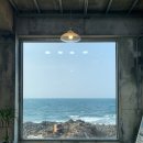 삼보렌트카 | 2023년 3월 제주도 2박3일 혼자 여행