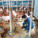 박명종 농장 이미지