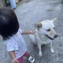 겨울문학제 | [경상도] 경남 하동 홍인펜션 정보 및 주변 관광