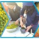 休무풍승지 이미지