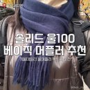 카르페디엠 | 겨울 목도리추천 선물하기 좋은 카르페디엠 울100 머플러 후기