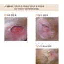 공주참병원 이미지