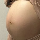👶🏻햄토리 임신기 이야기/33주-36주/태동검사/산모특약/백일해주사/출산선물/손수건세탁/유모차/절충형...