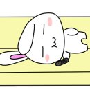 엔퍼센트