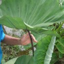 대왕농장 이미지