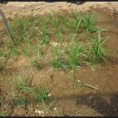 동연농장 이미지