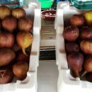 해남가스충전소 이미지