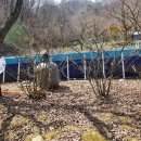 아리조나카페&매점 이미지